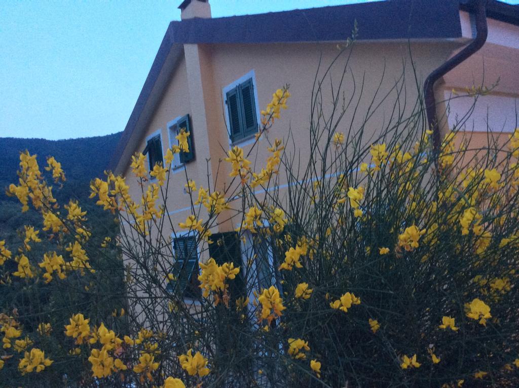 Ca Di Giaco Apartment Moneglia Exterior photo